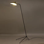 Spider Floor Lamp, Sculptural Black Metal Arm, E26/E27, Plug-In