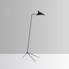 Spider Floor Lamp, Sculptural Black Metal Arm, E26/E27, Plug-In