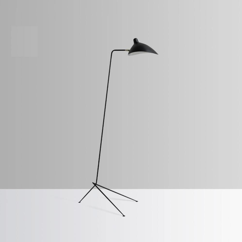 Spider Floor Lamp, Sculptural Black Metal Arm, E26/E27, Plug-In