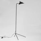 Spider Floor Lamp, Sculptural Black Metal Arm, E26/E27, Plug-In
