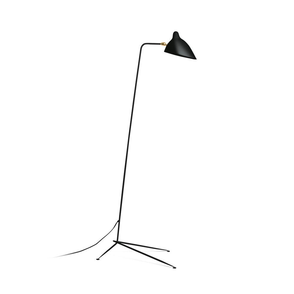 Spider Floor Lamp, Sculptural Black Metal Arm, E26/E27, Plug-In