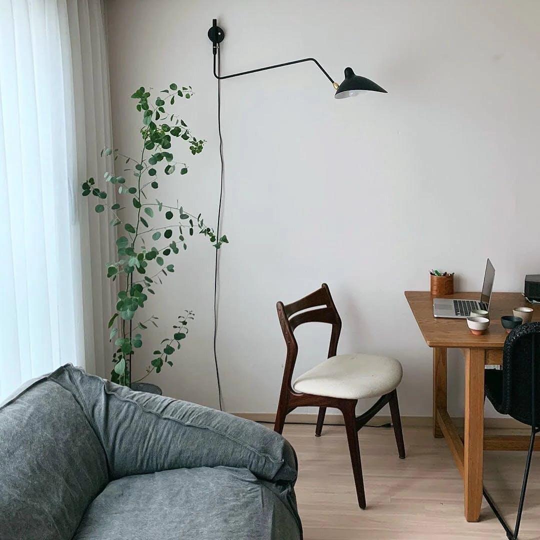 Wall sconce with slim black arm against a bright wall