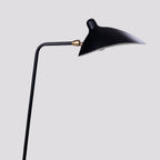 Black floor lamp arm and shade lit with a warm bulb