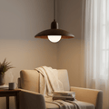 Wood Dome Pendant Light For Contemporary Ceiling Fixture