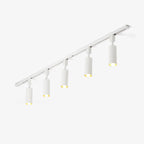 Track light with cylinder heads aimed across a gallery wall