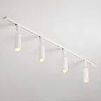 Cylinder Track Light, Aluminium Spotlights, Integrated LED, 30° Beam