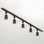 Cylinder track light spotlights aimed at framed artwork