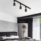 Cylinder track light heads angled toward a display niche