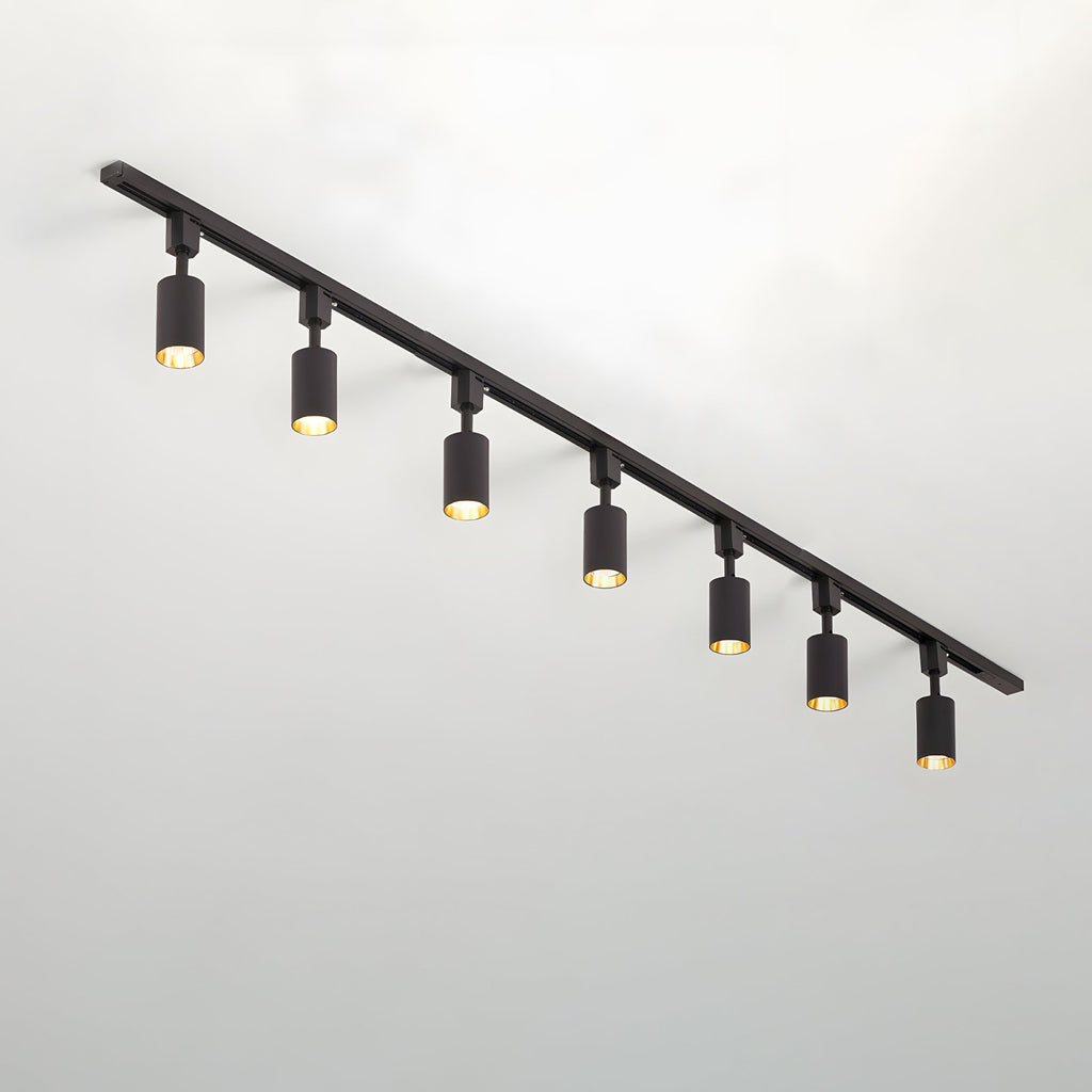 Black cylinder track light head shown in detail
