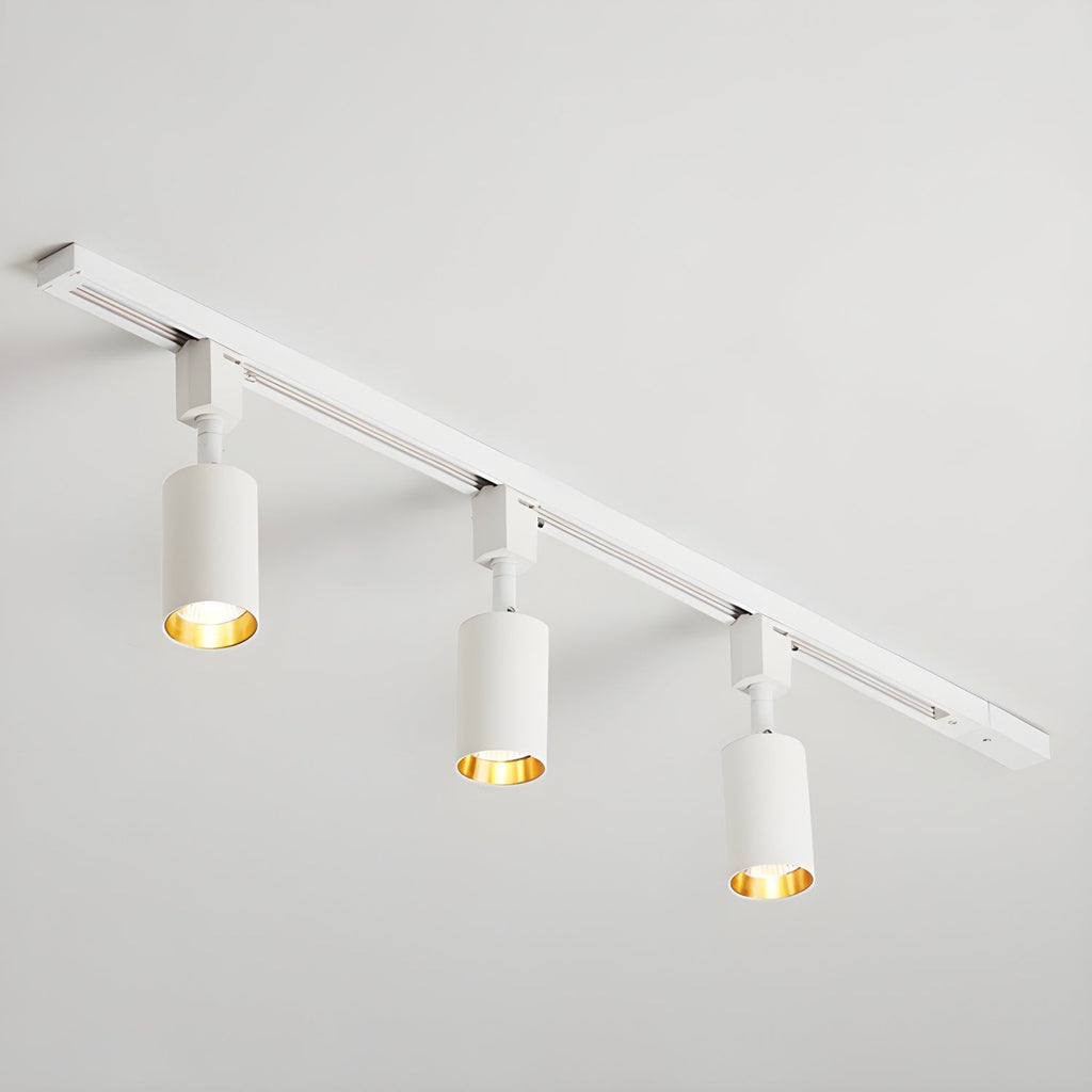 Cylinder track light with multiple heads in a minimal interior