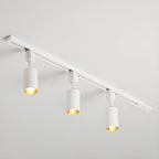 Cylinder track light with multiple heads in a minimal interior