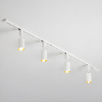 Cylinder track light shown with focused warm accent beams