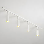 Track light with black cylinder heads mounted overhead