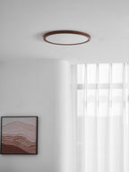 Round ceiling light with walnut finish illuminating a living space