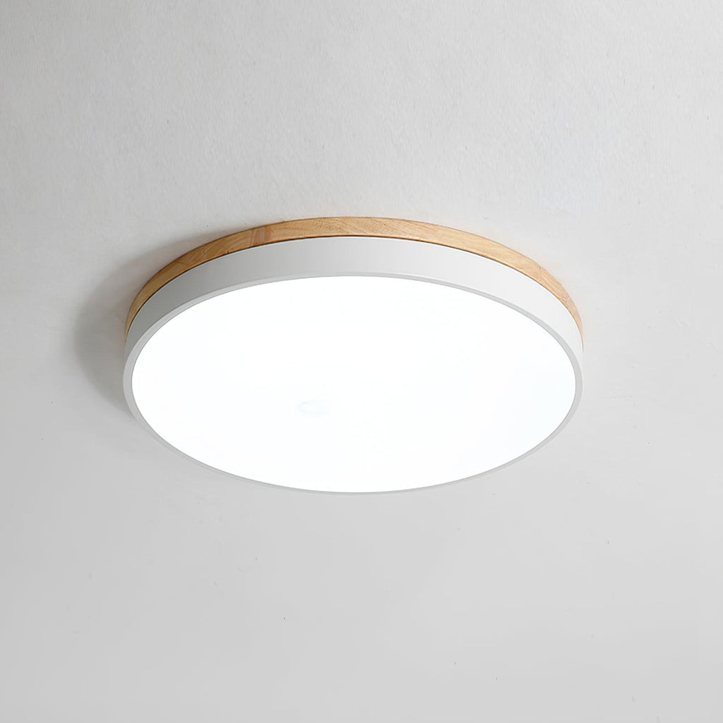 Slim flush mount ceiling light with white diffuser