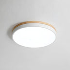 Slim flush mount ceiling light with white diffuser
