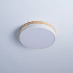 White ceiling light with warm wood rim seen from below
