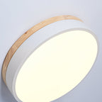 Wood and white ceiling light angled to show the rim