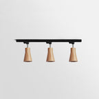 Wood track ceiling lamp angled to direct light across a room