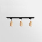 Wood track ceiling lamp mounted on a ceiling lighting a living space