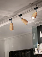 Wood track ceiling lamp lighting artwork on a wall