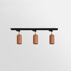 Wood track ceiling lamp with spotlight heads highlighting a wall