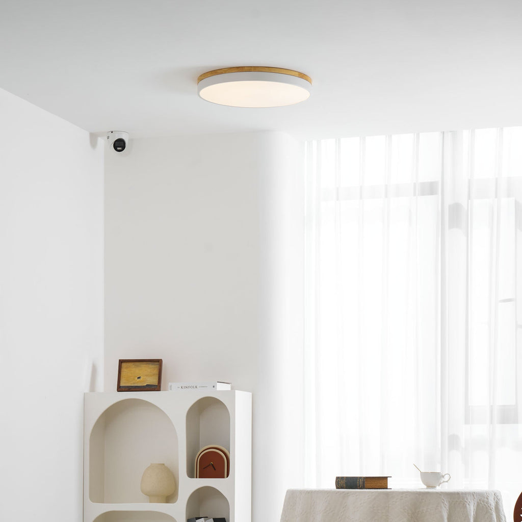 Circular wood ceiling lamp shown close up with its wood ring inlay