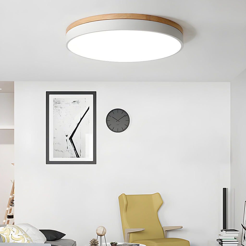 Detail of the matte frame edge on the circular wood ceiling lamp