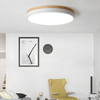 Detail of the matte frame edge on the circular wood ceiling lamp