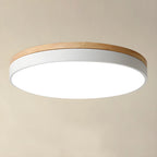 Close detail of the natural wood ring on the circular ceiling lamp frame