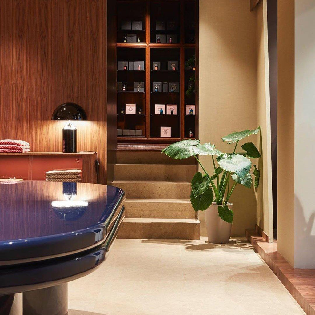 Modern interior with a blue table, potted plant, and wooden shelves.