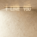 Clérachic acrylic letter track light mounted flush to the ceiling, its magnetic letters glowing warm white to spell a message.