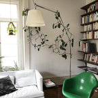 Clérachic floor lamp shade hovering near a trailing vine and a tall bookcase, beside a white sofa and a green chair.