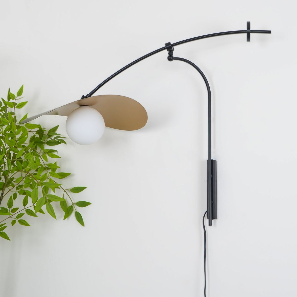 This Clérachic wall light viewed from below, the pale underside of the shade over a white globe, beside a green plant.