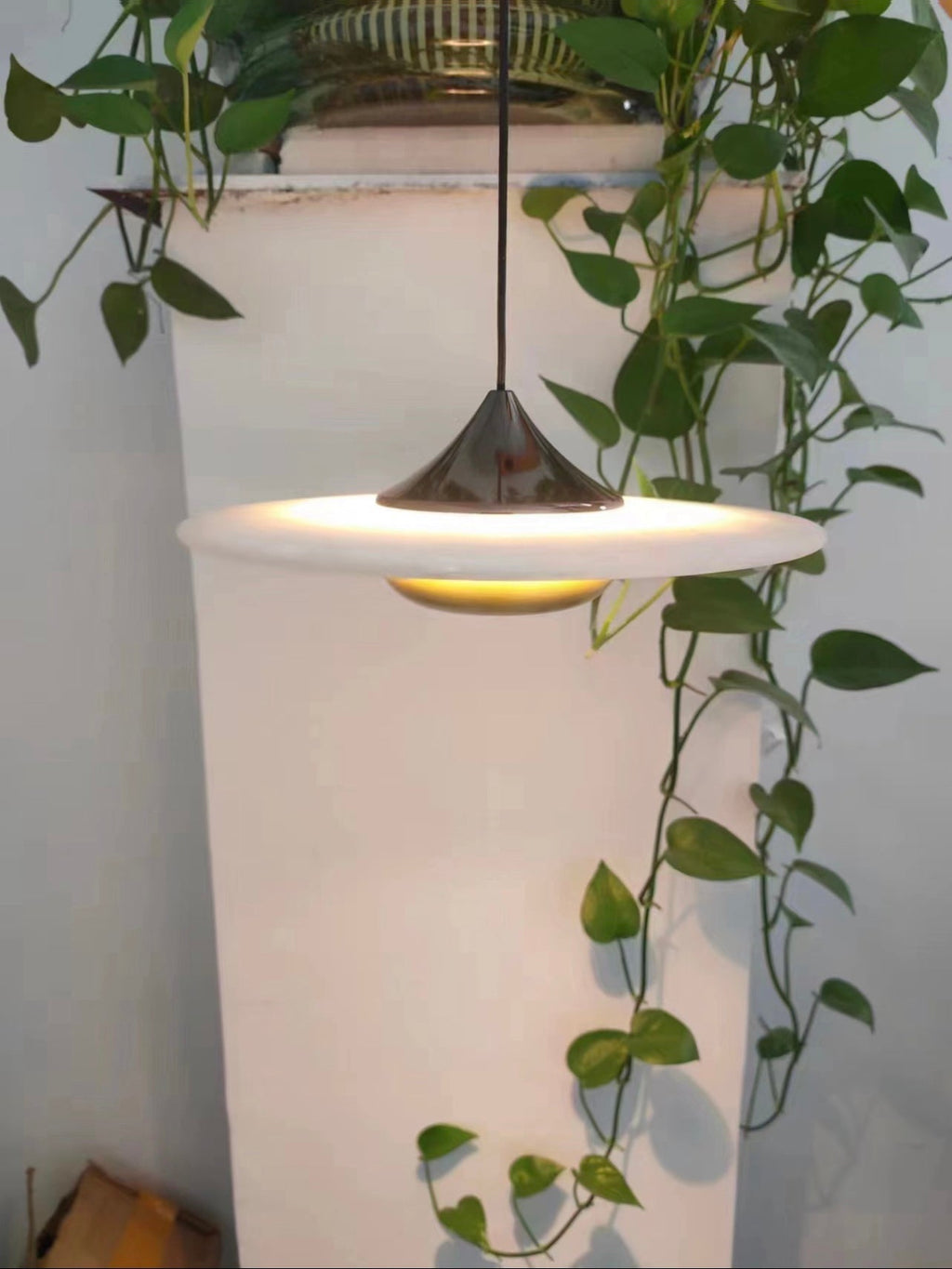 A lit Clérachic Alabaster Disc Pendant Light beside a trailing pothos, warm light spilling across a white plaster column.