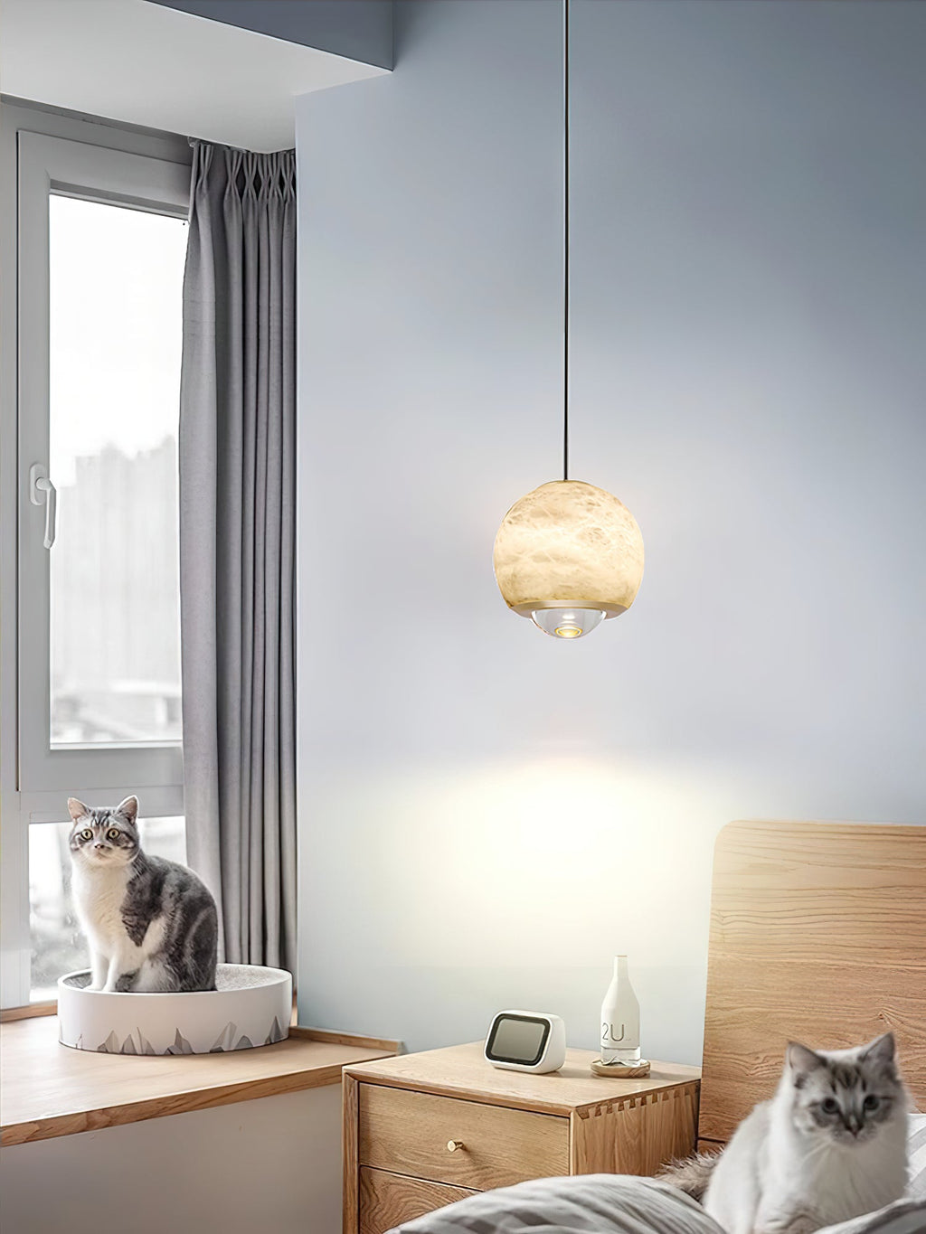 Clérachic Alabaster Globe Pendant Light in a blue-grey bedroom with two cats, lighting a wooden nightstand, clock and small bottle.