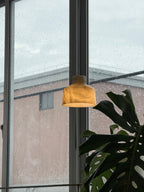 Clérachic Alabaster Pendant Light glowing beside a rain-streaked factory window, its warm stone shade framed by monstera leaves.