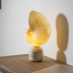 Warmly lit Clérachic alabaster conch lamp on a wooden table, casting a soft shadow of its shape on a white wall.