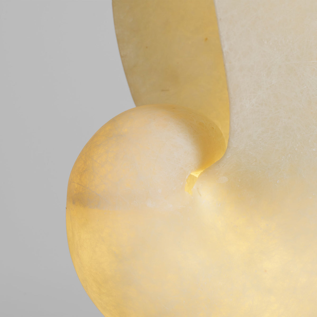 Close view of the spiral edge of the alabaster conch shade on this Clérachic lamp, glowing warm with a cloudy, translucent grain.