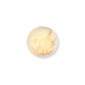 The Clérachic Alabaster Wall Sconce seen square to the wall, warm light spreading evenly across the pale stone face.