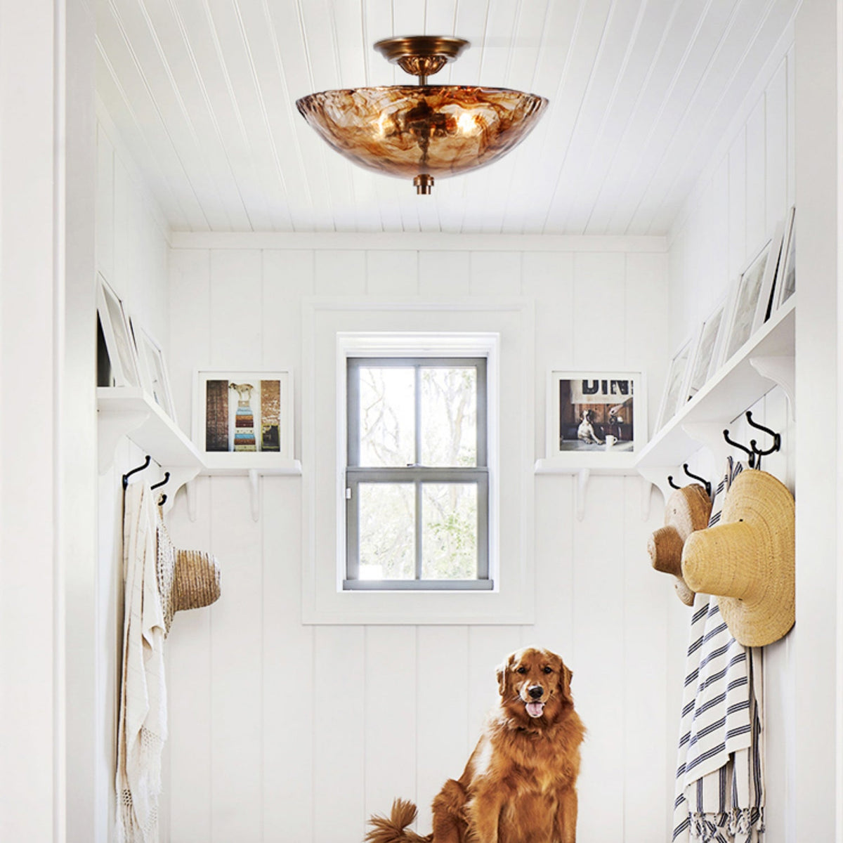 A Clérachic ceiling light above a white boot-room with coat hooks, a window and a golden retriever sitting on the floor below.