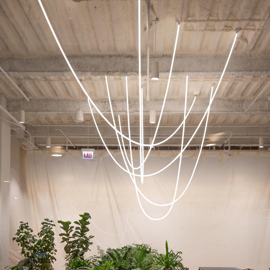 Tall U-shaped loops of Clérachic LED rope light hang over a white curtain, with green plants along the bottom edge.