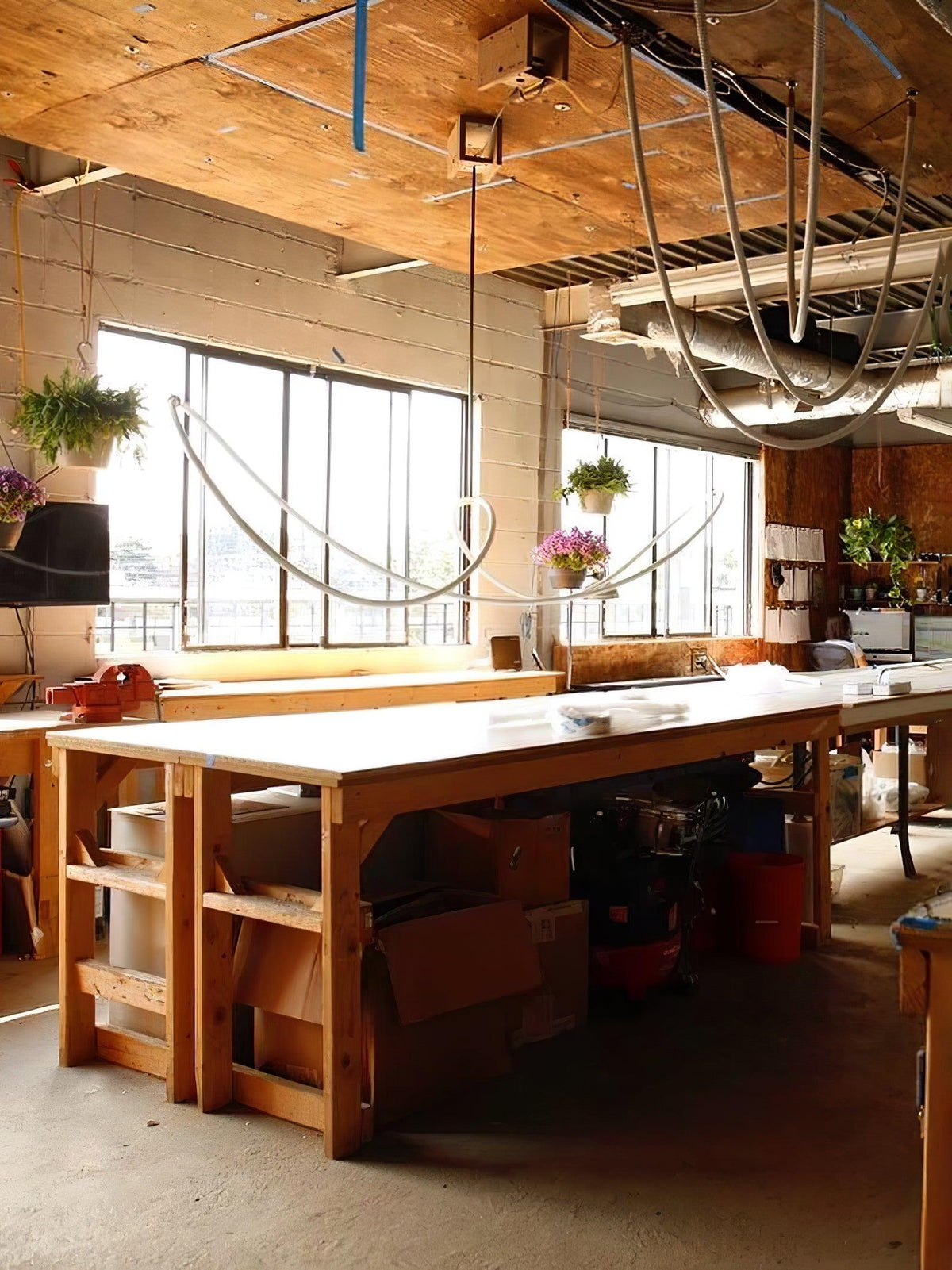 Loose Clérachic rope pendants draped from the ceiling of a studio with a timber ceiling, large windows and a long workbench.