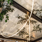 A Clérachic LED rope pendant sweeping across a ceiling beam in a close view, with tree leaves and a mirrored panel ceiling.