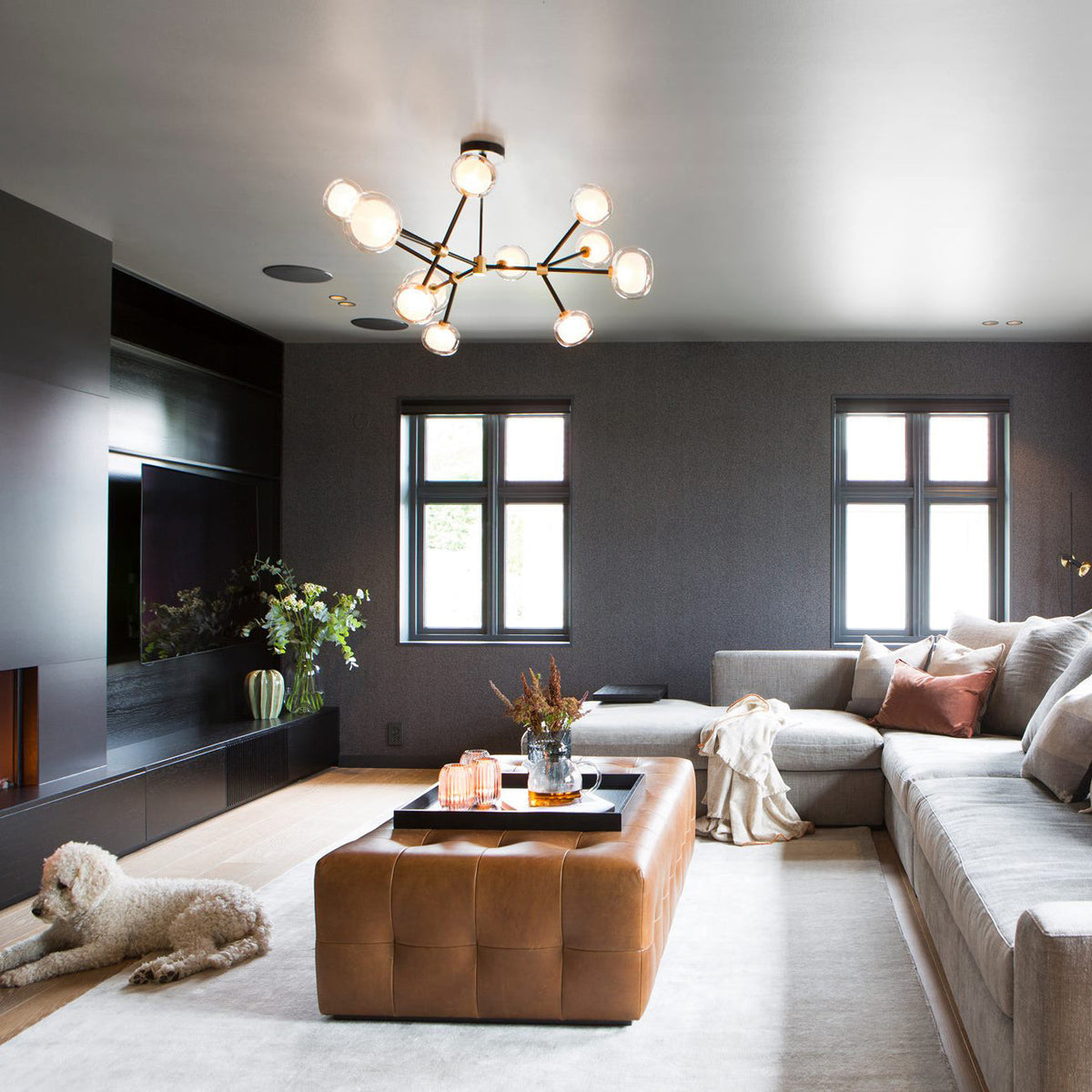 Clérachic chandelier lit with branching arms, in a dark grey living room with a tan leather ottoman, a corner sofa and a small white dog.
