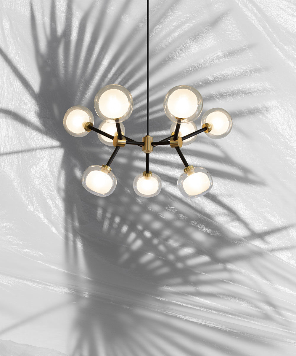 Clérachic chandelier on a white backdrop with a palm-leaf shadow, its clear-rimmed globes lit on black arms and brass joints.