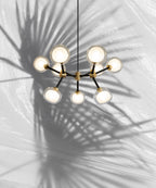 Clérachic chandelier on a white backdrop with a palm-leaf shadow, its clear-rimmed globes lit on black arms and brass joints.