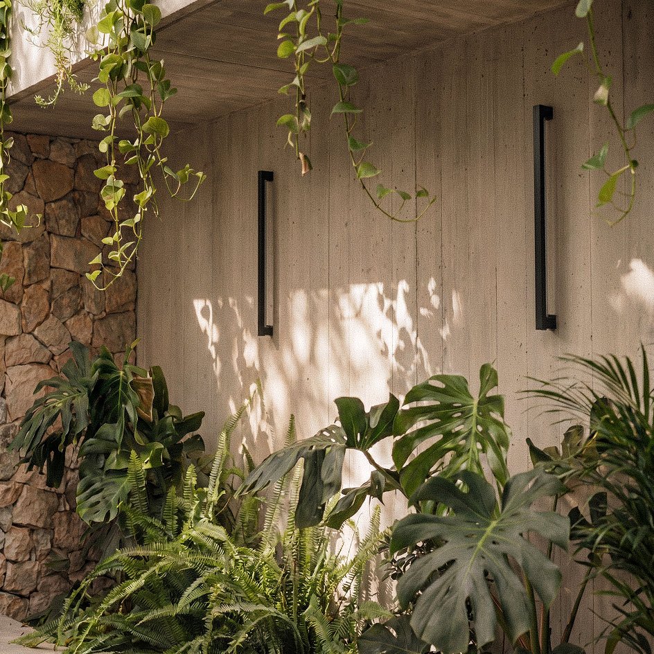 A closer daytime crop shows the black column wall lights unlit against concrete panelling and cascading vines, Clérachic detail shot.