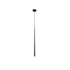 Single black tapered pendant hanging from a small round black canopy on a white background, from Clérachic.