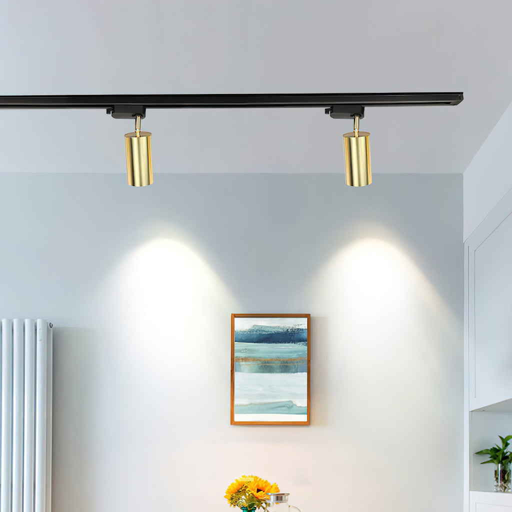 Two gold Clérachic track heads lighting soft circles on a pale blue wall above a framed landscape print and flowers.